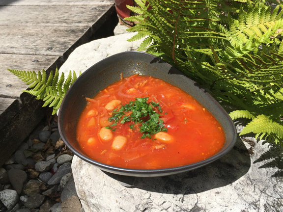 VEGETARIAN BORSCHT WITH SOY MEAT