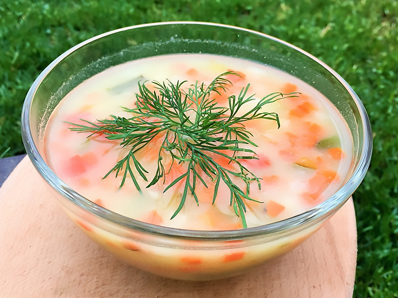 VEGETARIAN SOUP WITH HARVESTED VEGETABLES